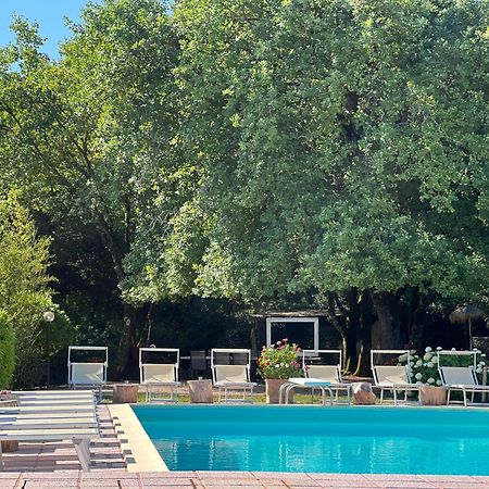Le Case Di Lisetta Holiday Homes كورتْشّانو المظهر الخارجي الصورة