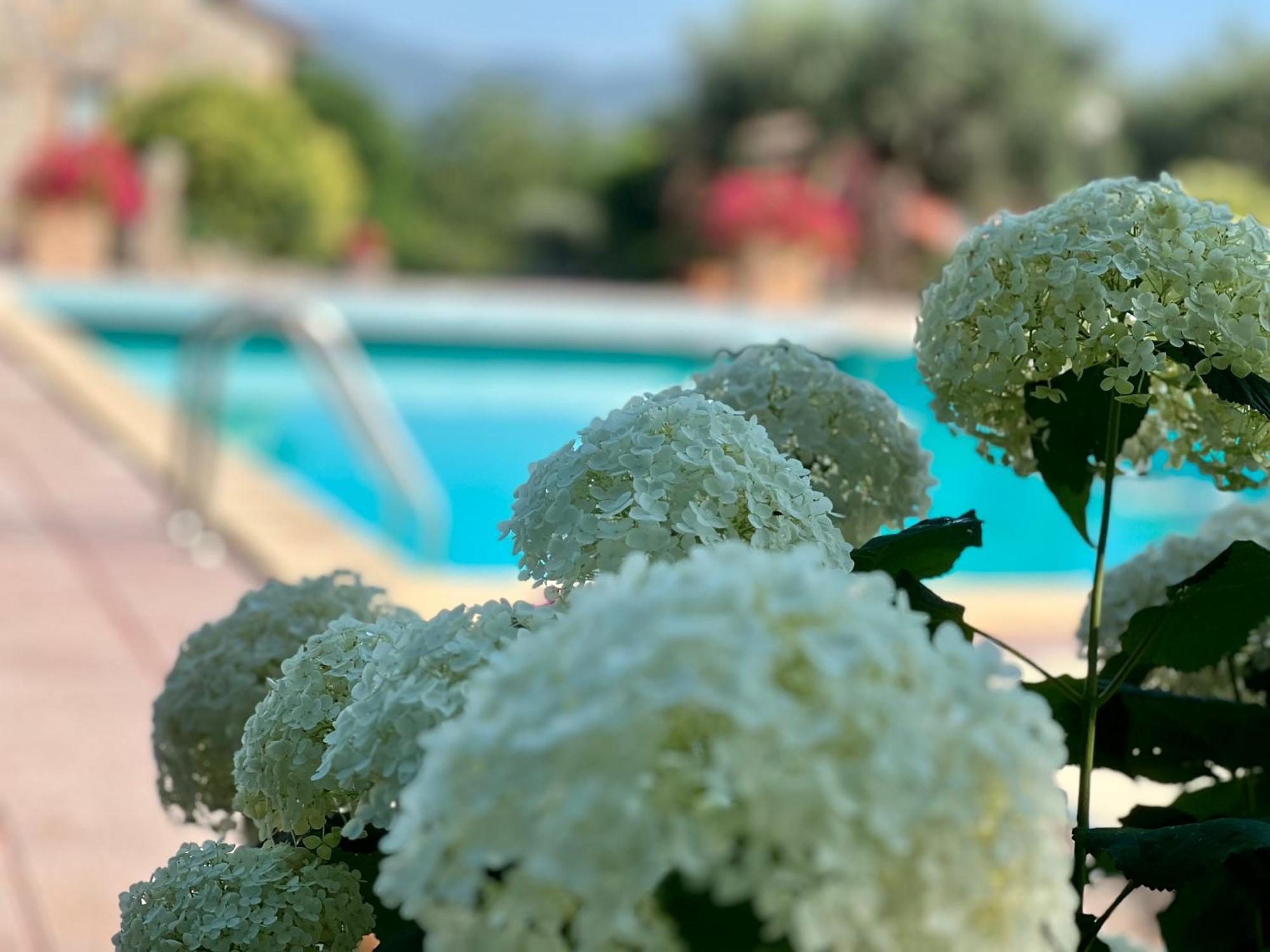 Le Case Di Lisetta Holiday Homes كورتْشّانو المظهر الخارجي الصورة