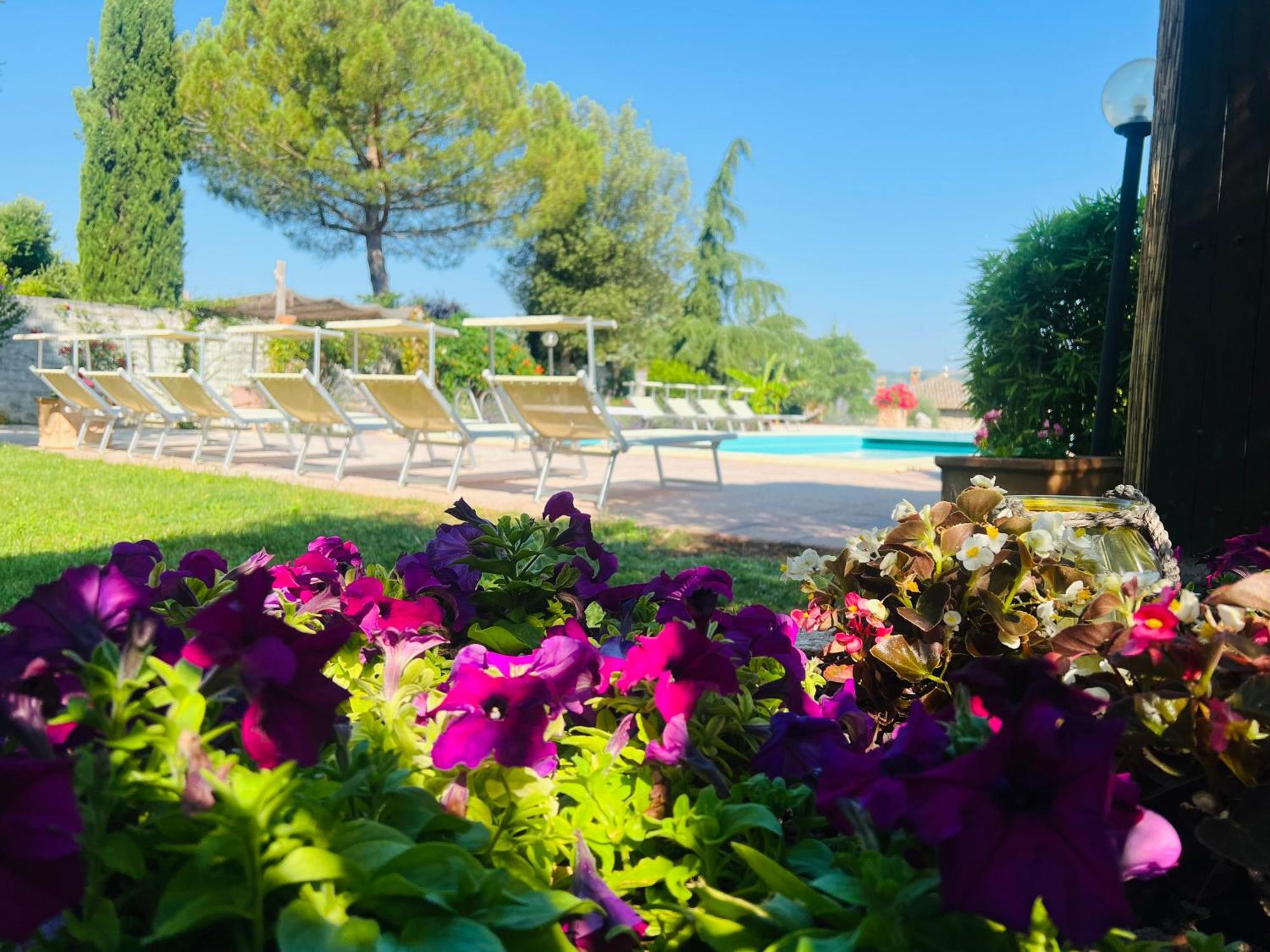 Le Case Di Lisetta Holiday Homes كورتْشّانو المظهر الخارجي الصورة