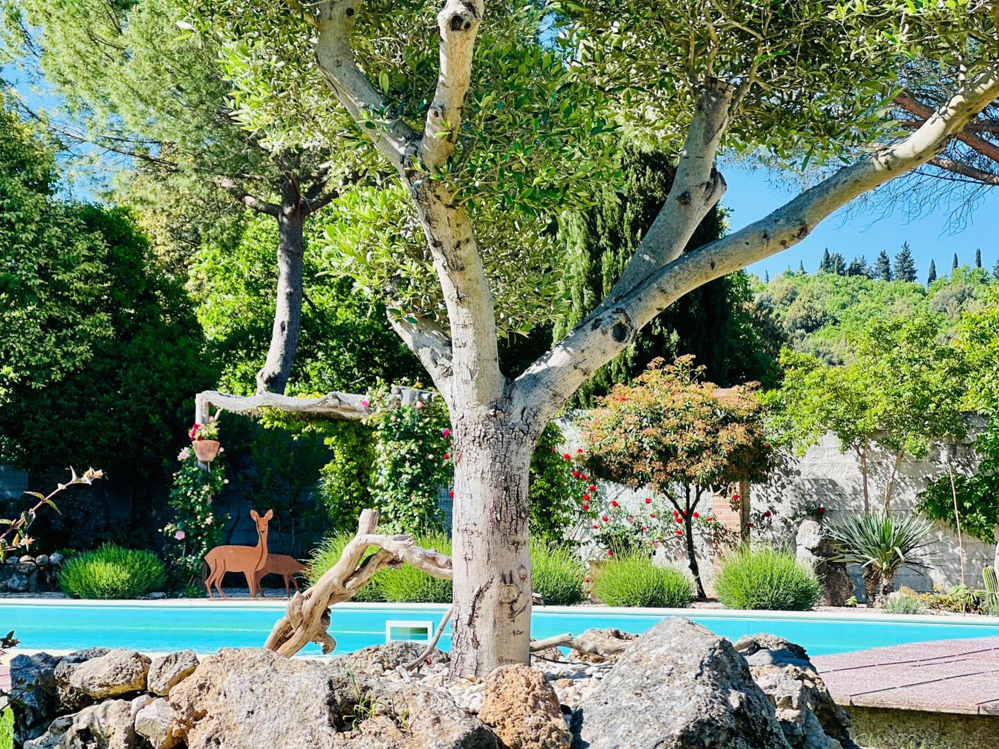 Le Case Di Lisetta Holiday Homes كورتْشّانو المظهر الخارجي الصورة