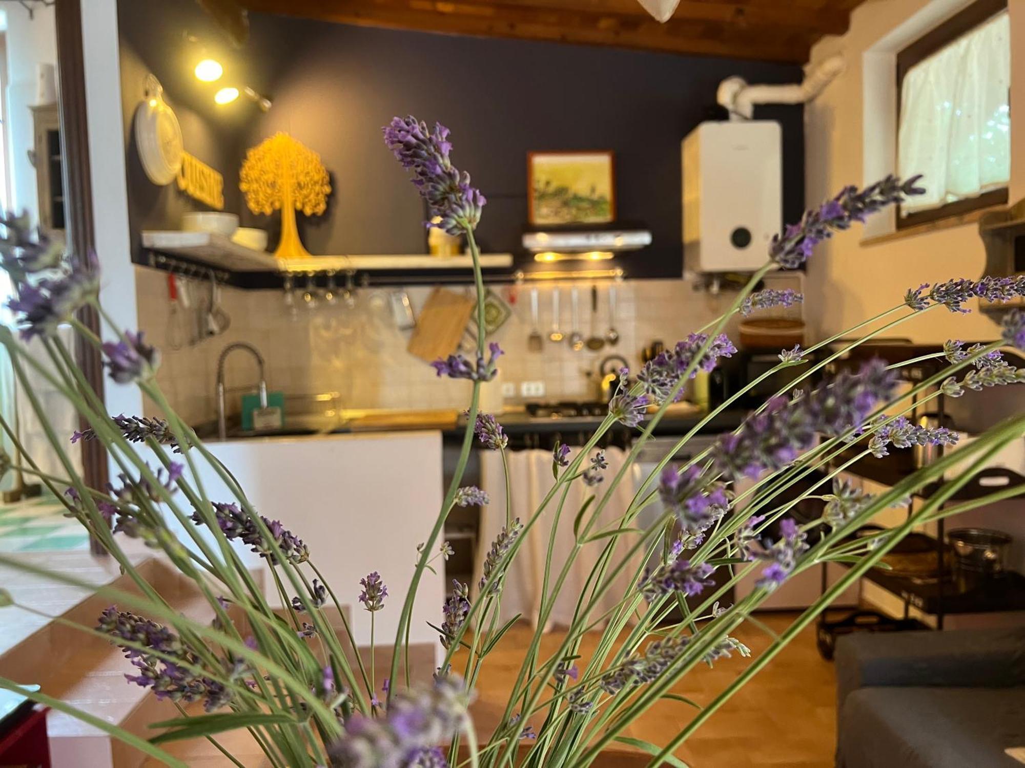 Le Case Di Lisetta Holiday Homes كورتْشّانو المظهر الخارجي الصورة