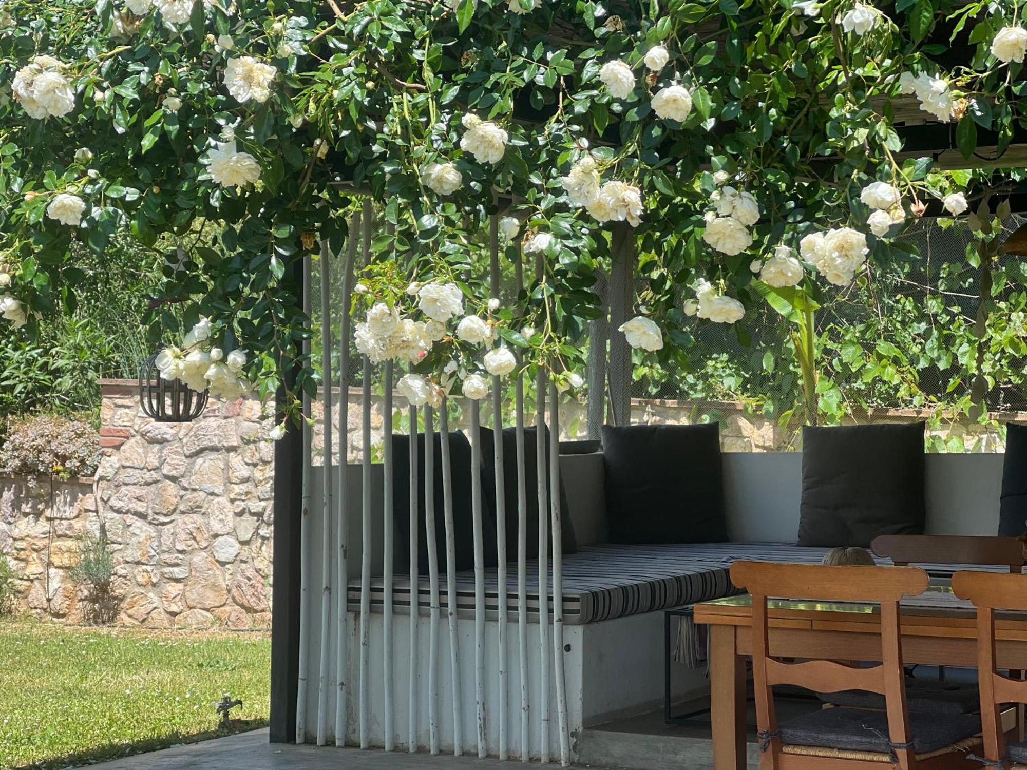 Le Case Di Lisetta Holiday Homes كورتْشّانو المظهر الخارجي الصورة