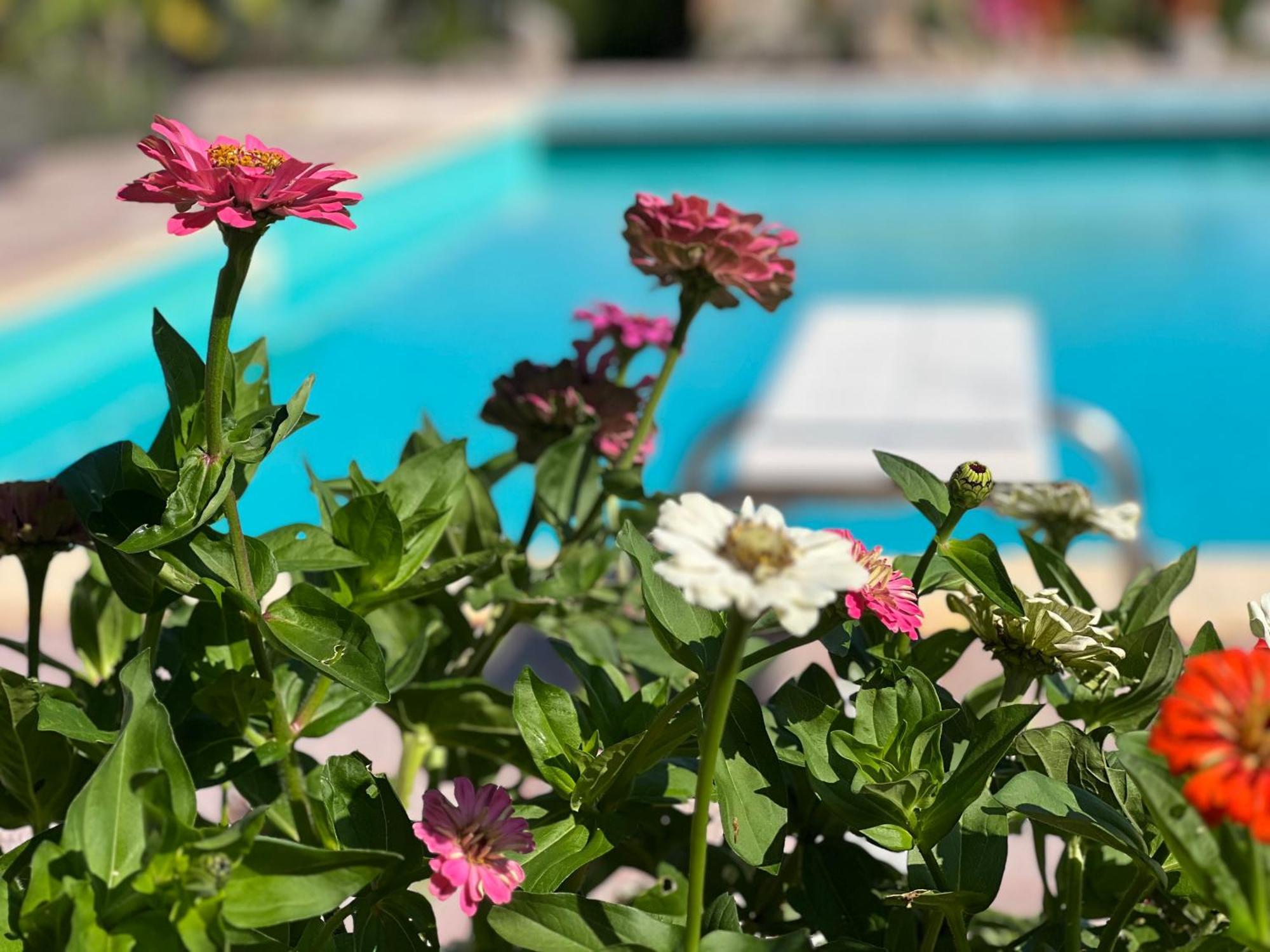 Le Case Di Lisetta Holiday Homes كورتْشّانو المظهر الخارجي الصورة